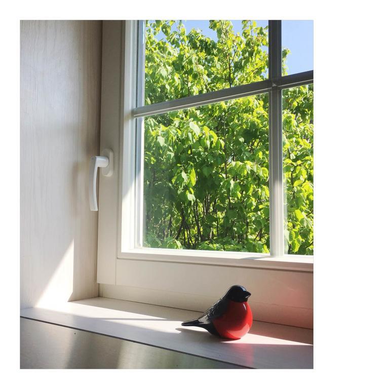 Apartament Cardinalis House Pāvilosta Zewnętrze zdjęcie